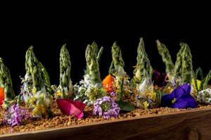 Luxuscatering Terra & Kofler & Kompanie Bild Speise2