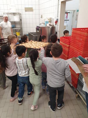 SchoolFood4Change BioBäckerei