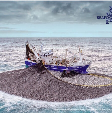 Warum Hering von Friesenkrone ein nachhaltiges Superfood ist Per Eide/Norwegian Seafood Counciil