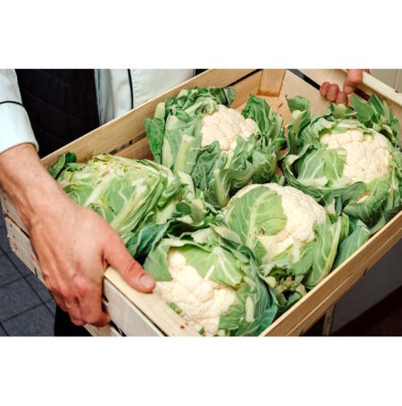 Für mehr Bio und Regio in der Gemeinschaftsverpflegung KErn Für mehr Bio und Regional in Gemeinschaftsverpflegung Bild